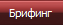 Брифинг